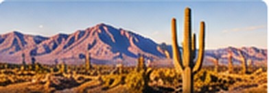 Southwest landscape representing future water corridors and infrastructure